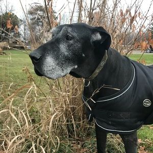 Meet your Posher, Caitlin